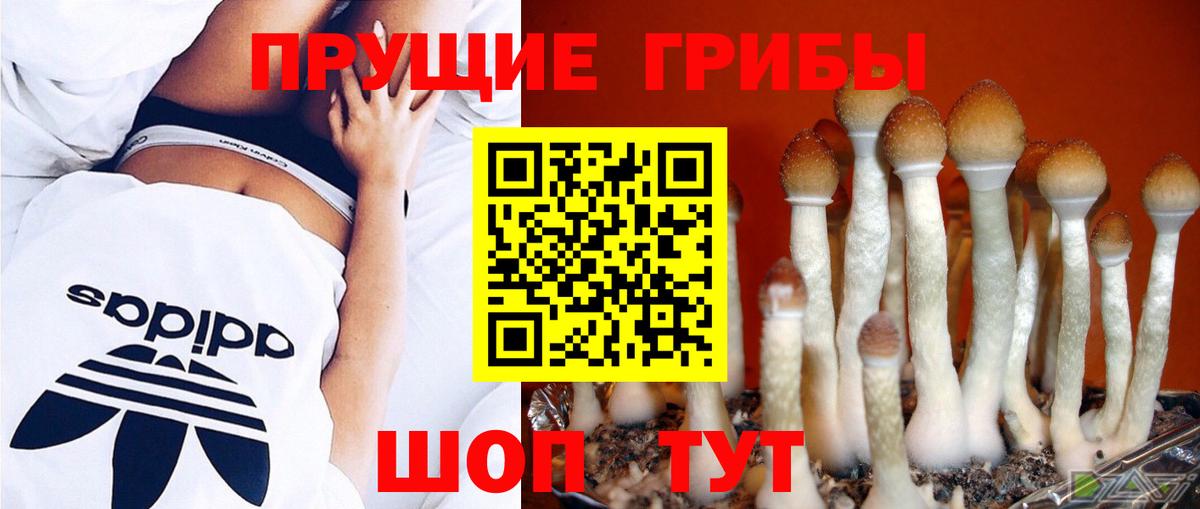 Галлюциногенные грибы мицелий Ялуторовск