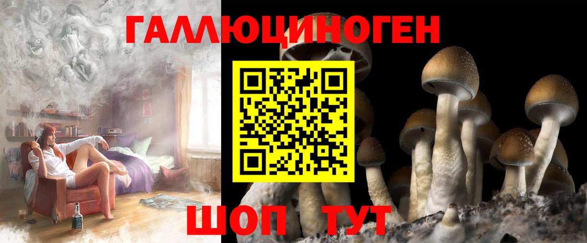 Ялуторовск  Псилоцибиновые грибы Magic Shrooms  где можно купить наркотик  Вход с VPN 